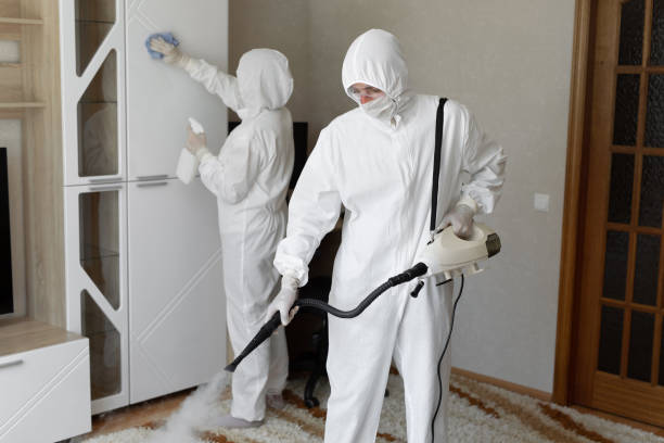 Affordable Sewage Cleanup solutions in Mount Cory, OH